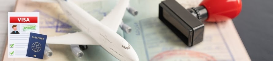 Visa Checking Portal